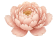 1Swiatlo-LOGO-e1783671302768